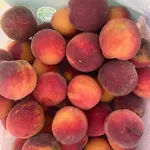 Resting House Oaza *