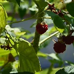 Resting House Oaza * Bihać