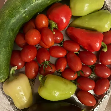 Ferienhaus Resting House Oaza Bihać