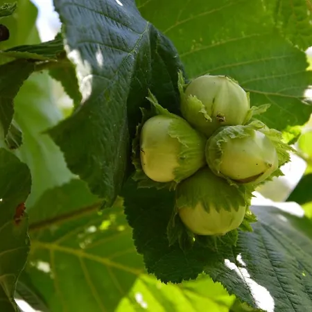 Ferienhaus Resting House Oaza Bihać