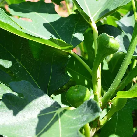 Resting House Oaza Ferienhaus Bihać