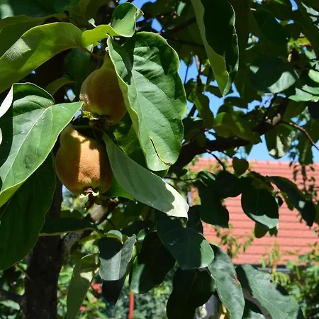 Resting House Oaza Bihać