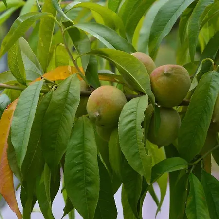 Resting House Oaza Ferienhaus Bihać